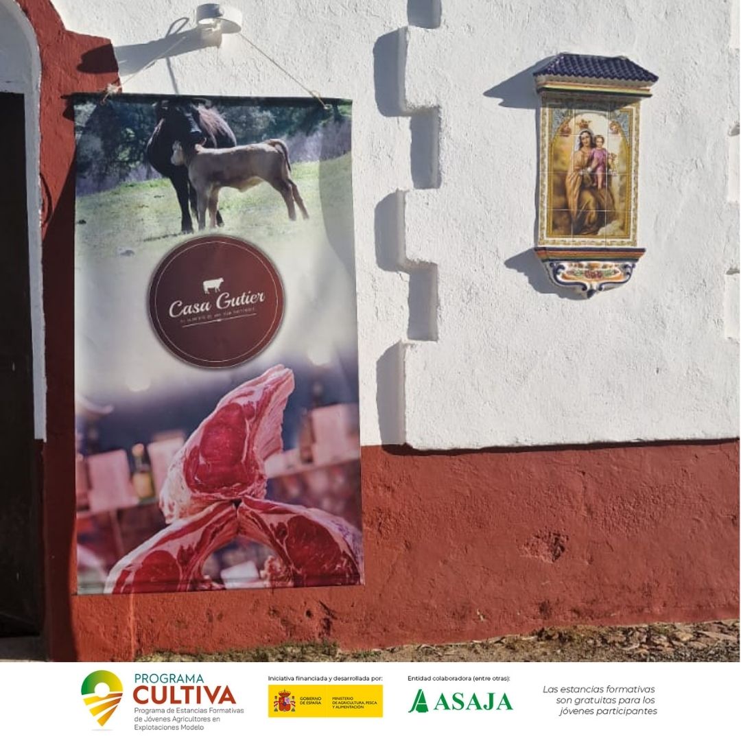 asajacr's tweet image. 📌¿Quieres conocer de cerca las tecnologías de última generación aplicadas en la gestión ganadera? 🐂@CasaGutier en 📍#Brazatortas (#CiudadReal) en el #ProgramaCultiva

+INFO:
👉ow.ly/8QMQ50Rg4XC #Asaja
👉 ow.ly/PZzs50RfHMY @mapagob
#ASAJAProgramaCULTIVA