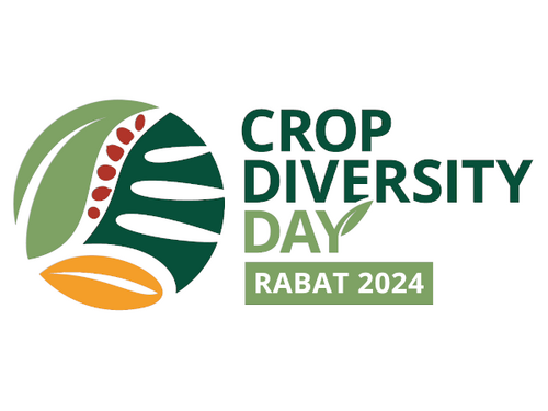📢 #COMINGSOON Exciting news from Rabat 2024! Join us for Crop Diversity Day, presented by @ICARDA, @CropTrust, & @PlantTreaty. We'll explore MENA's crop diversity conservation efforts, building on the success of the Global Crop Diversity Summit 2023. 👉bit.ly/4b1E6oa