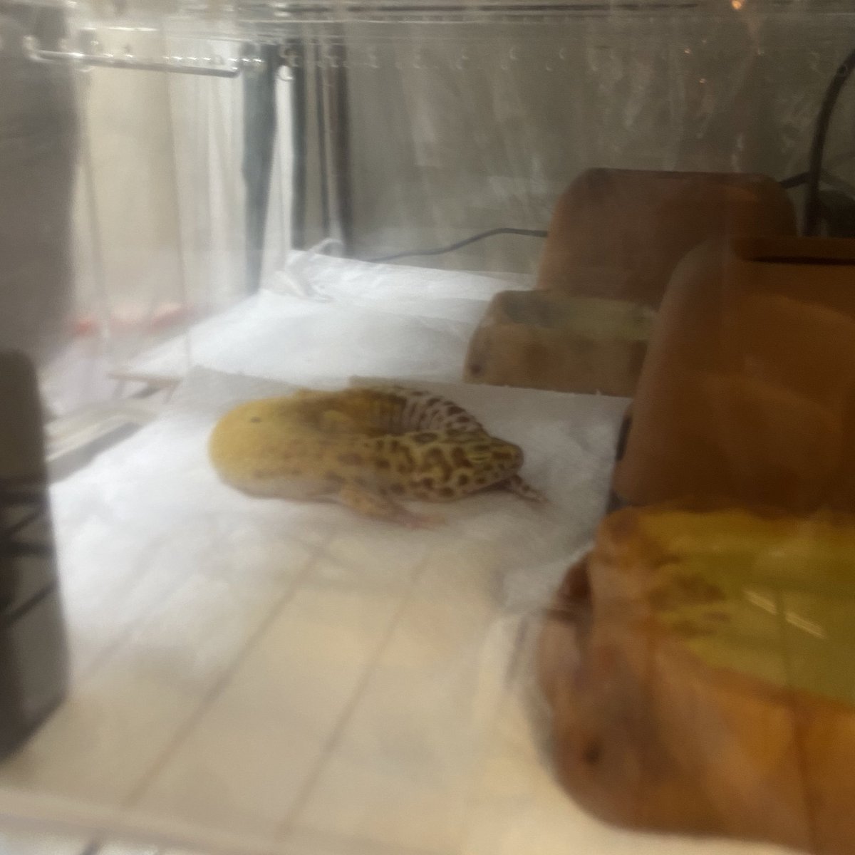 一緒に生きてこな