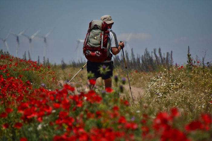 Pleasant temperatures, fully functioning hostels and a moderate influx of pilgrims characterize the months of May and June, two of the best to experience the #CaminodeSantiago. elcaminoconcorreos.com/en/blog/spring…