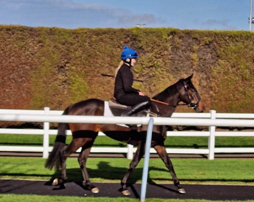 Reprised runs 830 @ChelmsfordCRC tonight . Kevin Stott rides for owner Paul Corrigan. She's a lovely 3yo with a nice turn of foot. Best of luck to all.