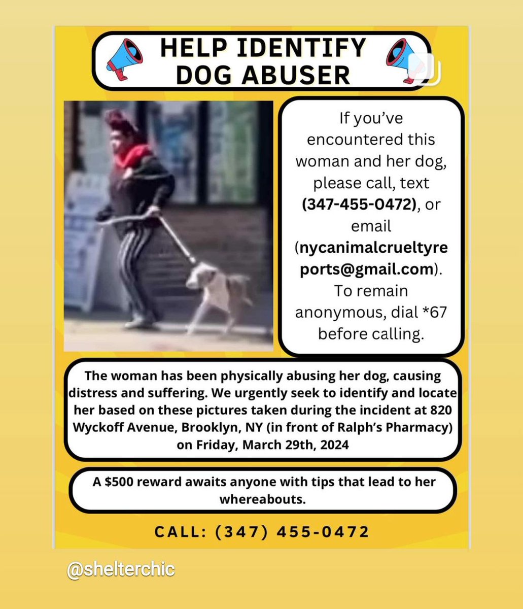 #Brooklyn #dogabuse #animalcruelty