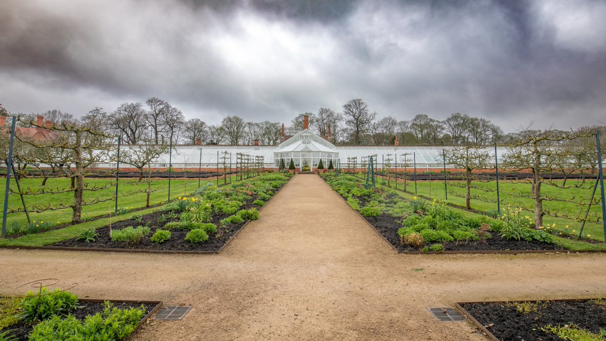 .@NTClumberPark celebrates the restoration of the walled kitchen garden’s iconic Glasshouse. Spanning four acres, the walled kitchen garden is one of the grandest surviving 18th century walled gardens in England. Read more: marketingnottingham.uk/clumber-park-c… #lovenotts #visitnotts