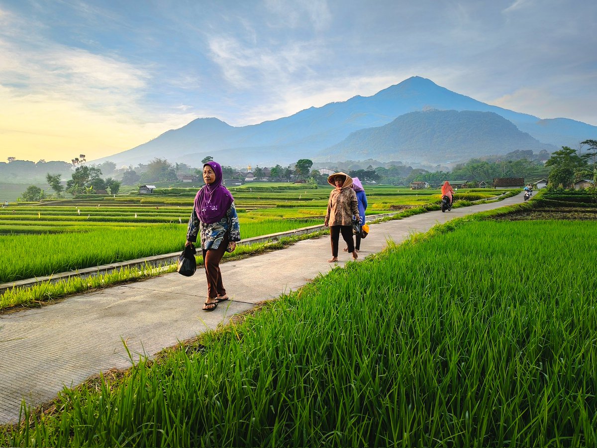 Satu moment sempurna dari sambutan para petani yang terlihat beranjak dari ujung jalan untuk memulai kehidupan, keberlangsungan hidup manusia yang berawal dari luasnya sawah sini.
📸 Redmi Note 13 Pro+ 5G

#RedmiNote13ProPlus5G #RedmiNote13Series