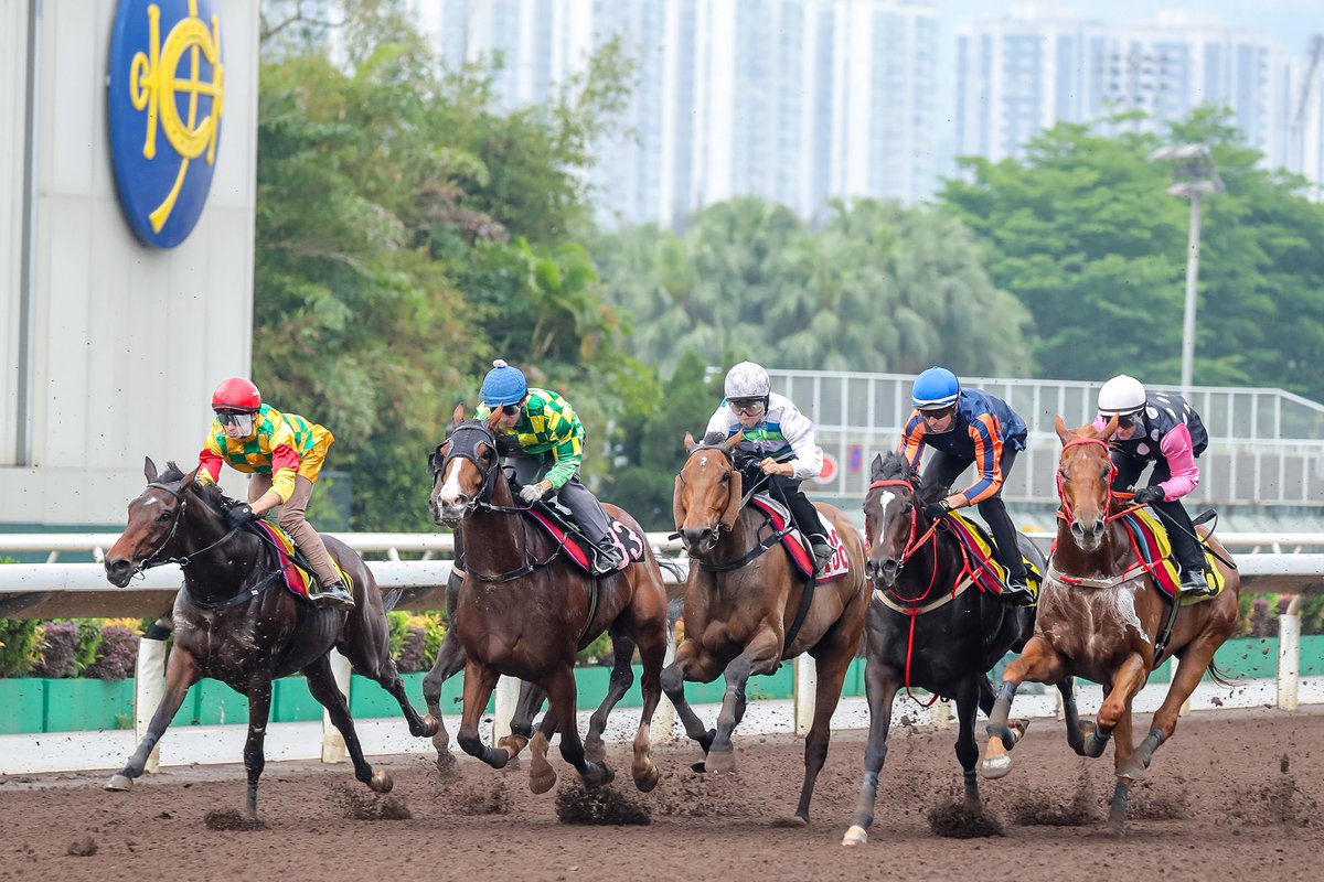 Getting #FWDChampionsDay ready! 😍 📸 #HKRacing