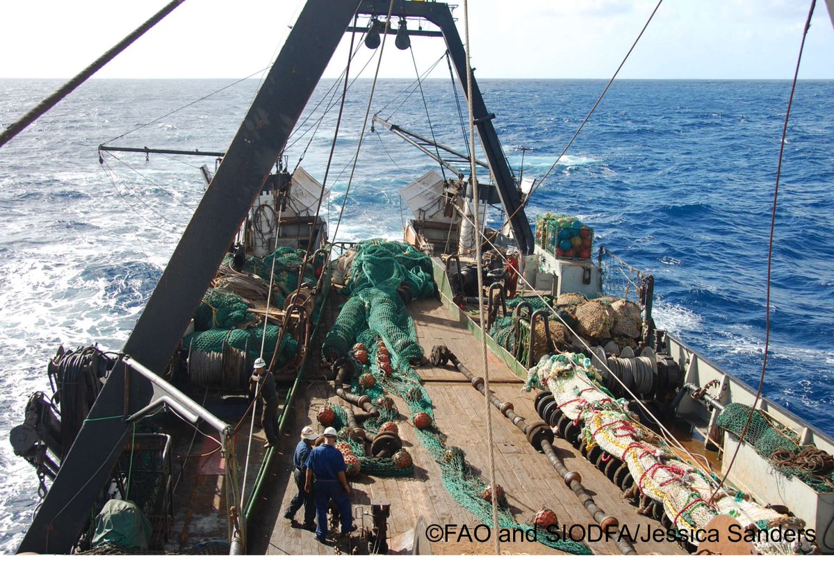 Are you interested in Deep sea fisheries and their management in the high seas? 🌊 🗓️ 08 May 2024 🕝 11:00-12:30 CEST Register NOW 👉 ow.ly/o42P50RiQuu