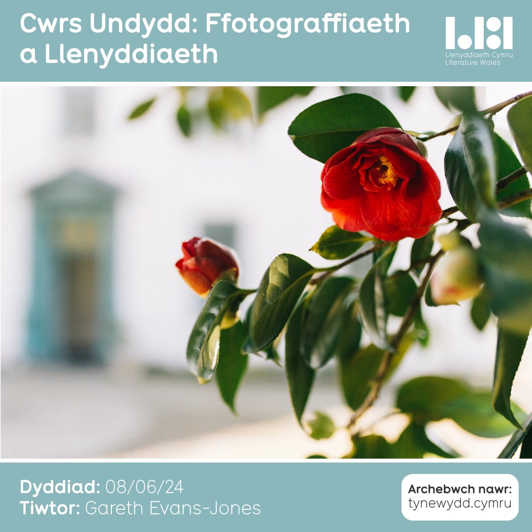 Cwrs Undydd gyda @GEvansJones 📷✏ Dewch draw i Ganolfan @Ty_Newydd yr haf hwn am ddiwrnod o archwilio'r berthynas rhwng ffotograffiaeth a llenyddiaeth! Croeso i bawb! 📅Dydd Sadwrn 8 Mehefin 💰 £35 tynewydd.cymru/cwrs/cwrs-undy…