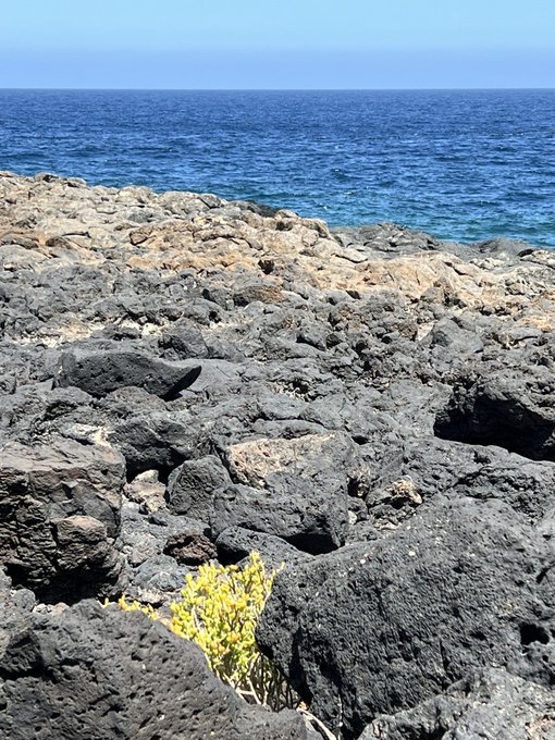 Such a beautiful place! But who is missing there? ;-) Members of my website Lynna&rsquo;s Sex World check your