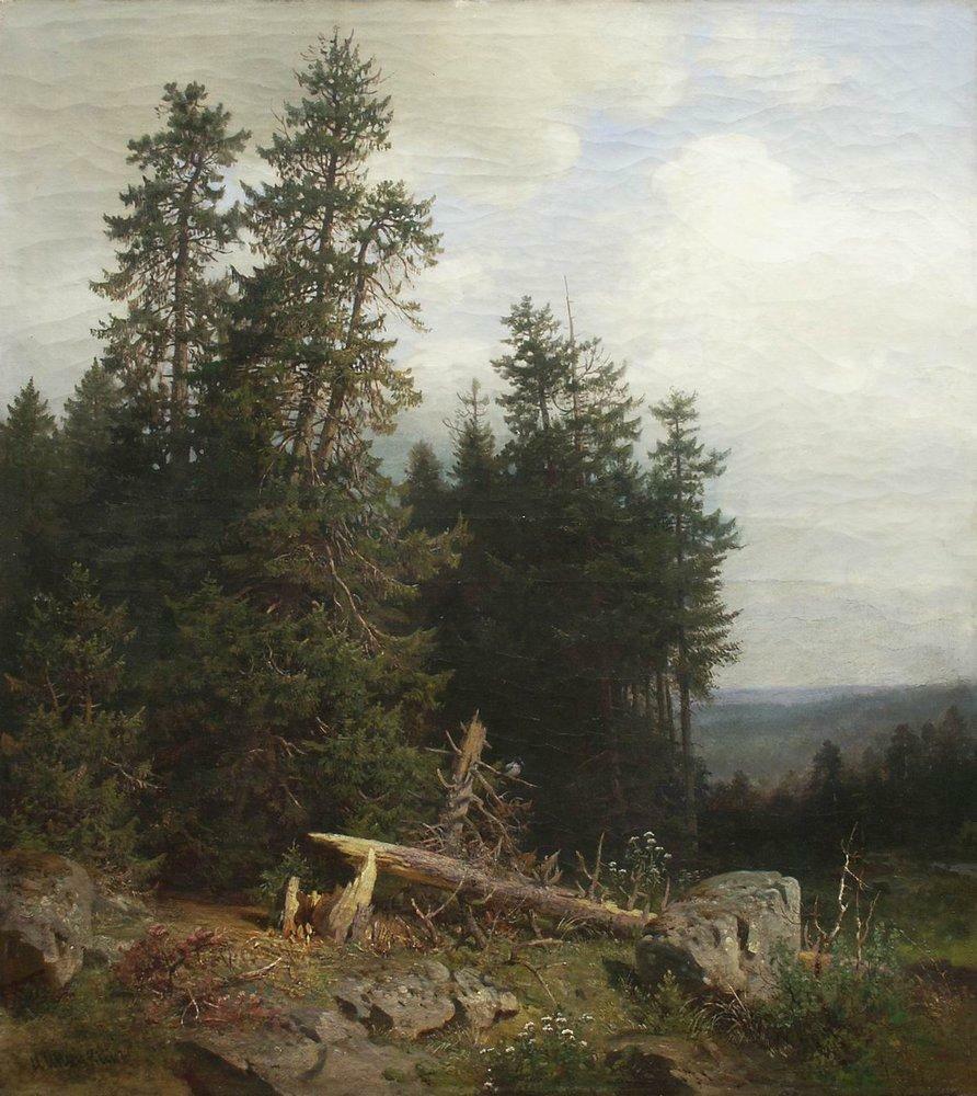 At the edge of the forest, 
Get more Shishkin 🍒 linktr.ee/shishkin_artbot
