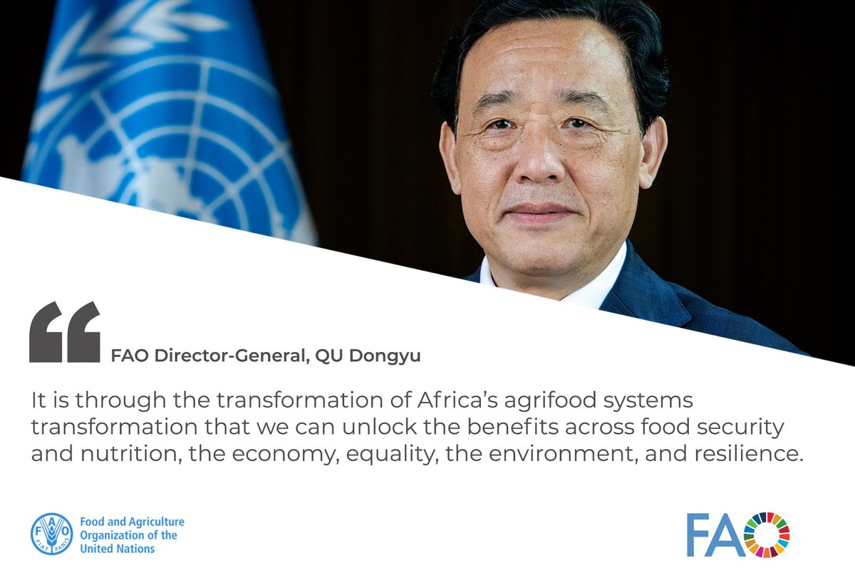 It is through the transformation of Africa’s agrifood systems transformation that we can unlock the benefits across food security and nutrition, the economy, equality, the environment, and resilience. 📺 Live session here 👉 bit.ly/4aFBGeP #ARC33