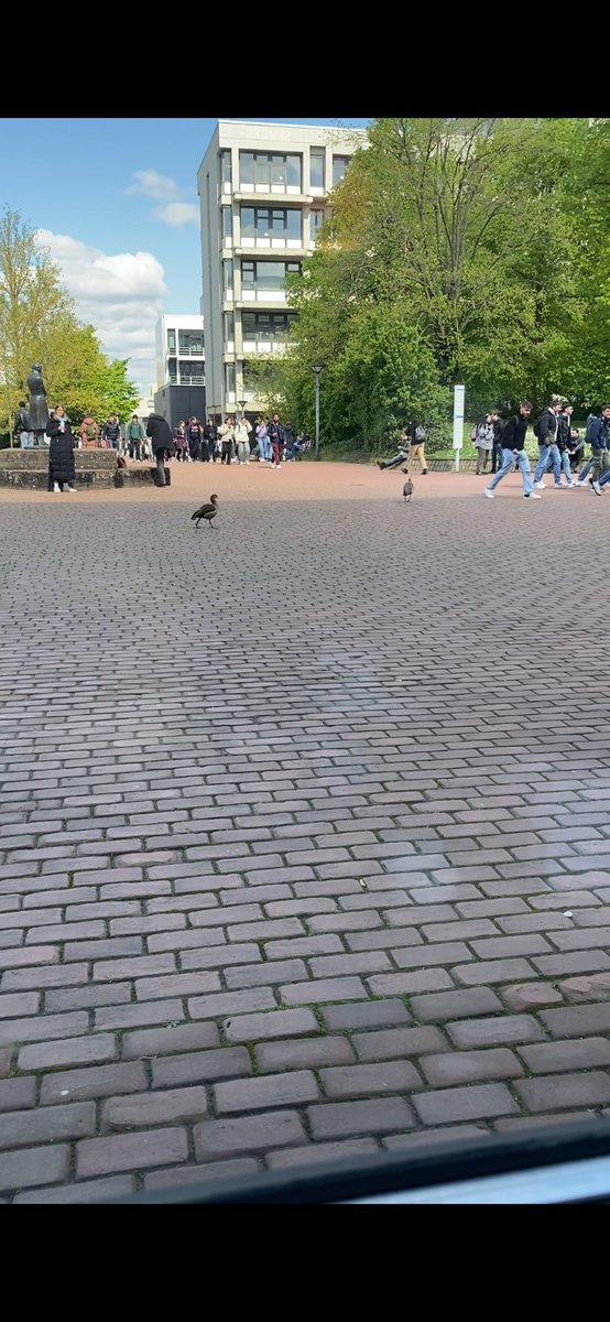 Luis_Lohaus's tweet photo. Weitergehen! Hier gibt’s nichts zu sehen. @HHU_de @campuserleb_hhu
#petsofhhu https://t.co/evzzmZyS78
