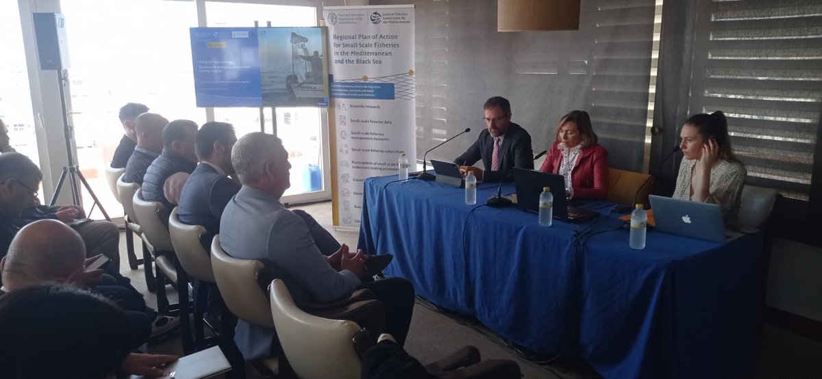WWF Mediterranean Marine Initiative tweet media