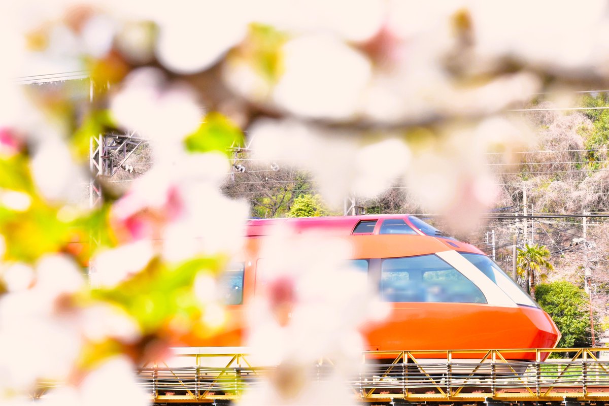 今春のお気に入りです。
#川音川 #GSE #小田急 #桜 #鉄道写真