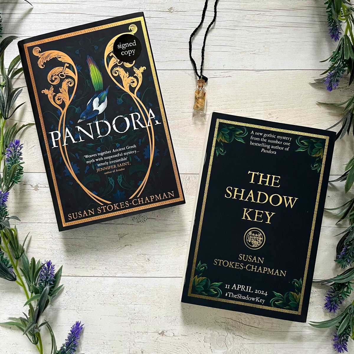 PerhpsIWillRead's tweet photo. A very happy publication day to the wonderful Susan Stokes-Chapman and #TheShadowKey ๐๏ธ. I finished this one earlier this week and adored it! Full review to come but a new historical fiction favourite ๐ฅฐ https://t.co/nsGcI4d3lO