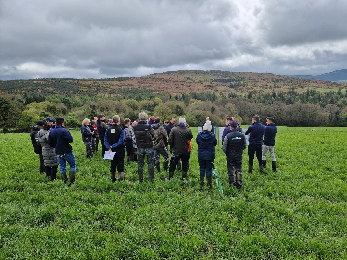 JohnTobin1982's tweet photo. Our Red Clover/ Multi  Species event has kicked off. Interesting discussion between @Quinnslimited @teagasc @Germinal_Ire @Grasslandagro on @keenan17 farm in a very scenic location https://t.co/q6fgiQ8tSs