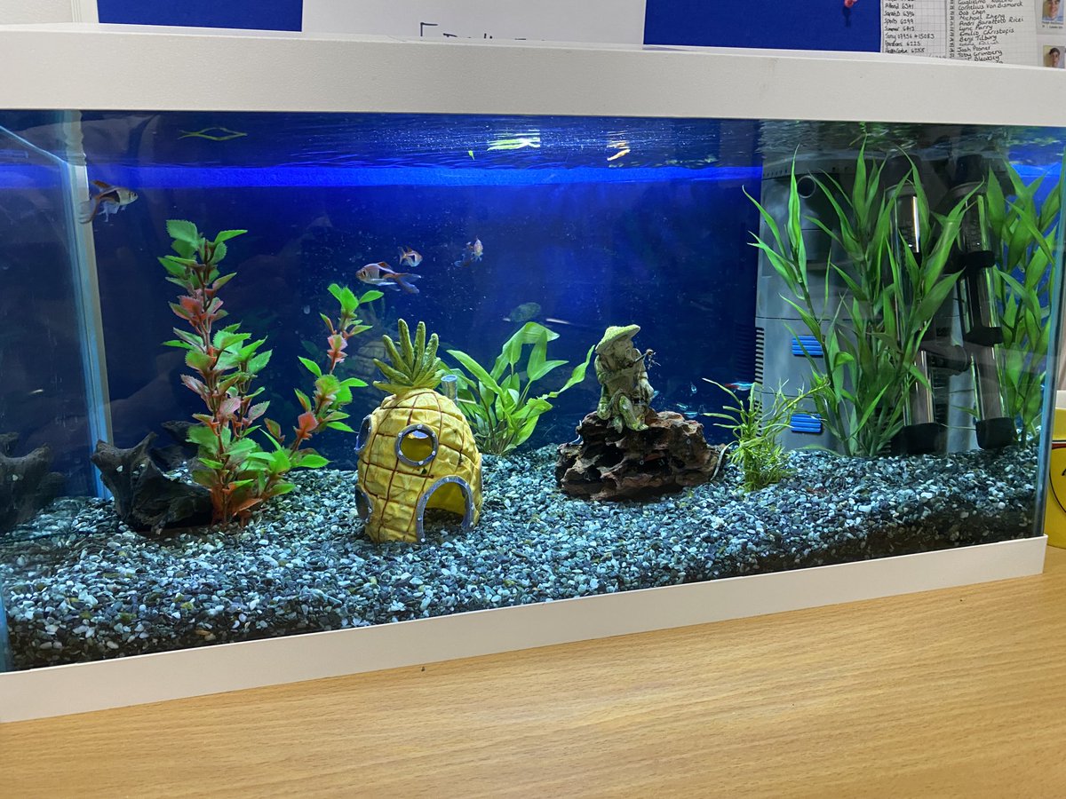 Always good to welcome some new members to ⁦<a href="/TrevelyanHouse/">Trevelyan Haileybury</a>⁩.