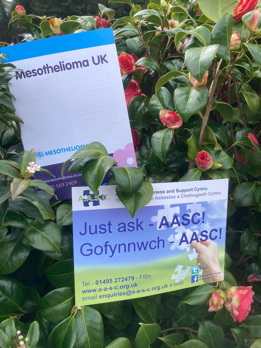 #AASC 🧩 are delighted to be linking in and working closely with <a href="/Mesouk/">Mesothelioma UK</a> to further develop #support for #patients and #carers in #Wales whose lives are being devastated by the effects of #Mesothelioma. Also bringing families together in mutual support. Together we are stronger!