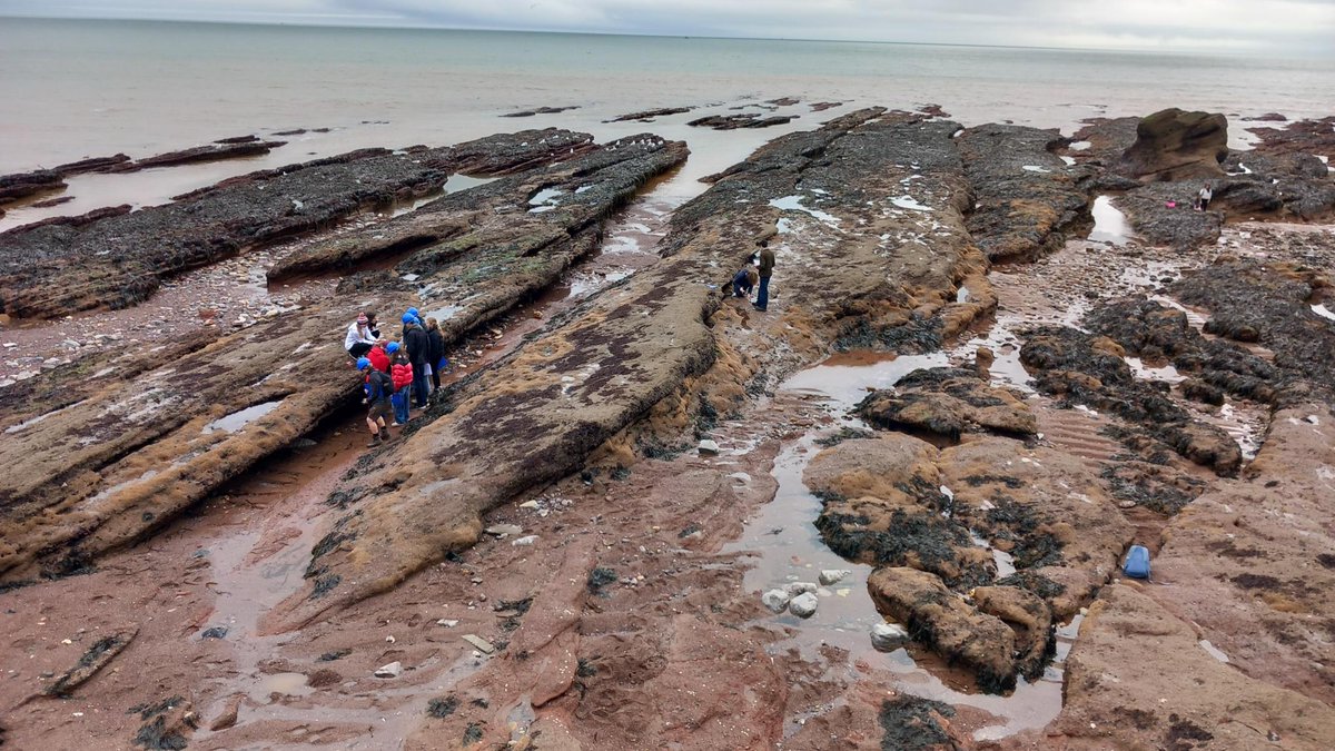 First Year #Geology students visited Dawlish this month to understand the Permian sandstone which formed back when the UK was 30 degrees north of the equator! It's fascinating what our landscape can tell us about the history of the earth 🌏 #EarthScience