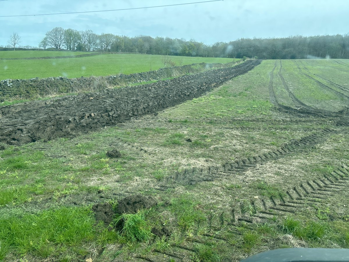 Chris Acaster tweet media