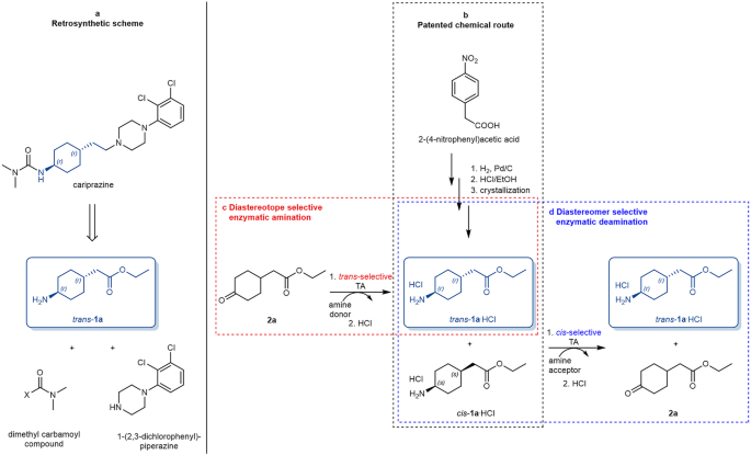 Transaminase-catalysis to produce trans-4-substituted cyclohexane-1-amines including a key intermediate towards cariprazine nature.com/articles/s4200…