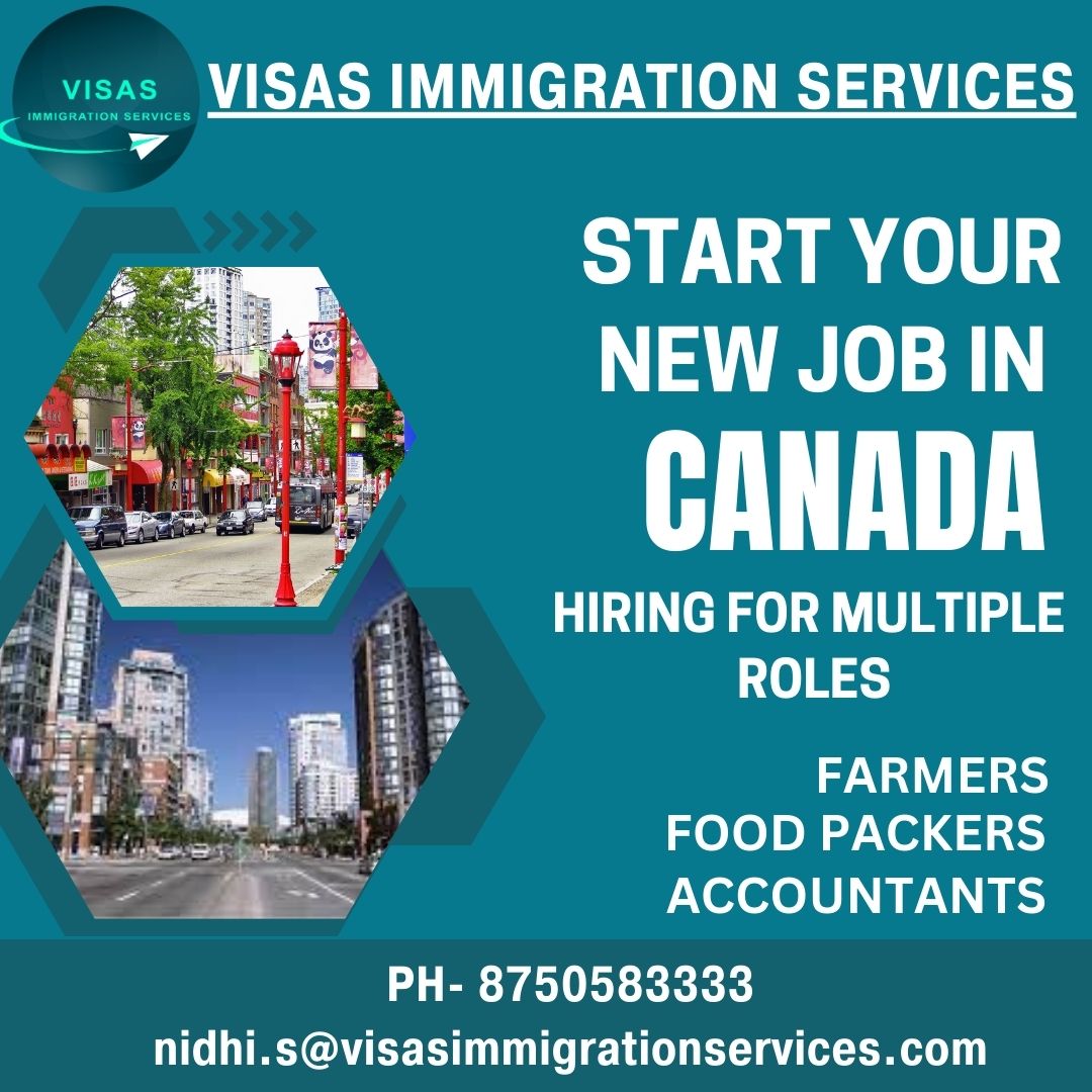 Discover your dream job in Canada's diverse landscape! 🍁💼
#CanadaJobs #DreamJob #JobOpportunities #WorkAbroad #CareerGrowth #JobSearch #EmploymentCanada #HiringNow #ProfessionalDevelopment #WorkInCanada