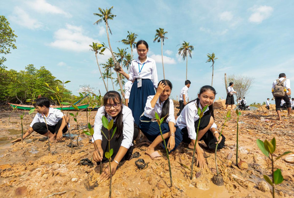 💡 What policies can help societies shape a more sustainable, green, and just future? Dive into @UNDP's Development Futures Series to access policy briefs and working papers, especially valuable for policymakers, practitioners & journalists worldwide: bit.ly/4cO5uHT