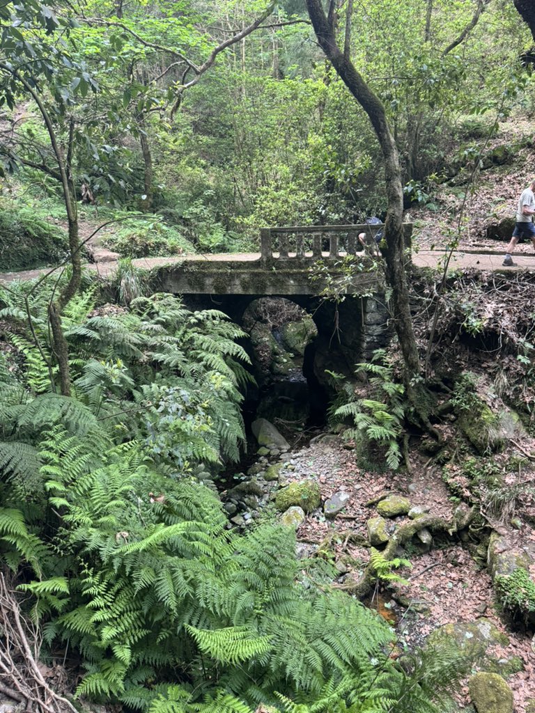Living my best levada life #Madeira