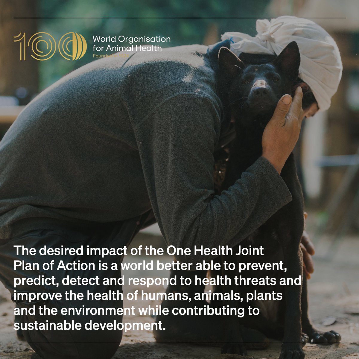 World Organisation for Animal Health for Members tweet media