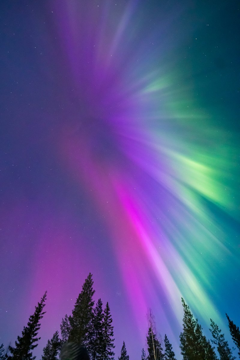 Red auroras! Amazing show in March 2024!