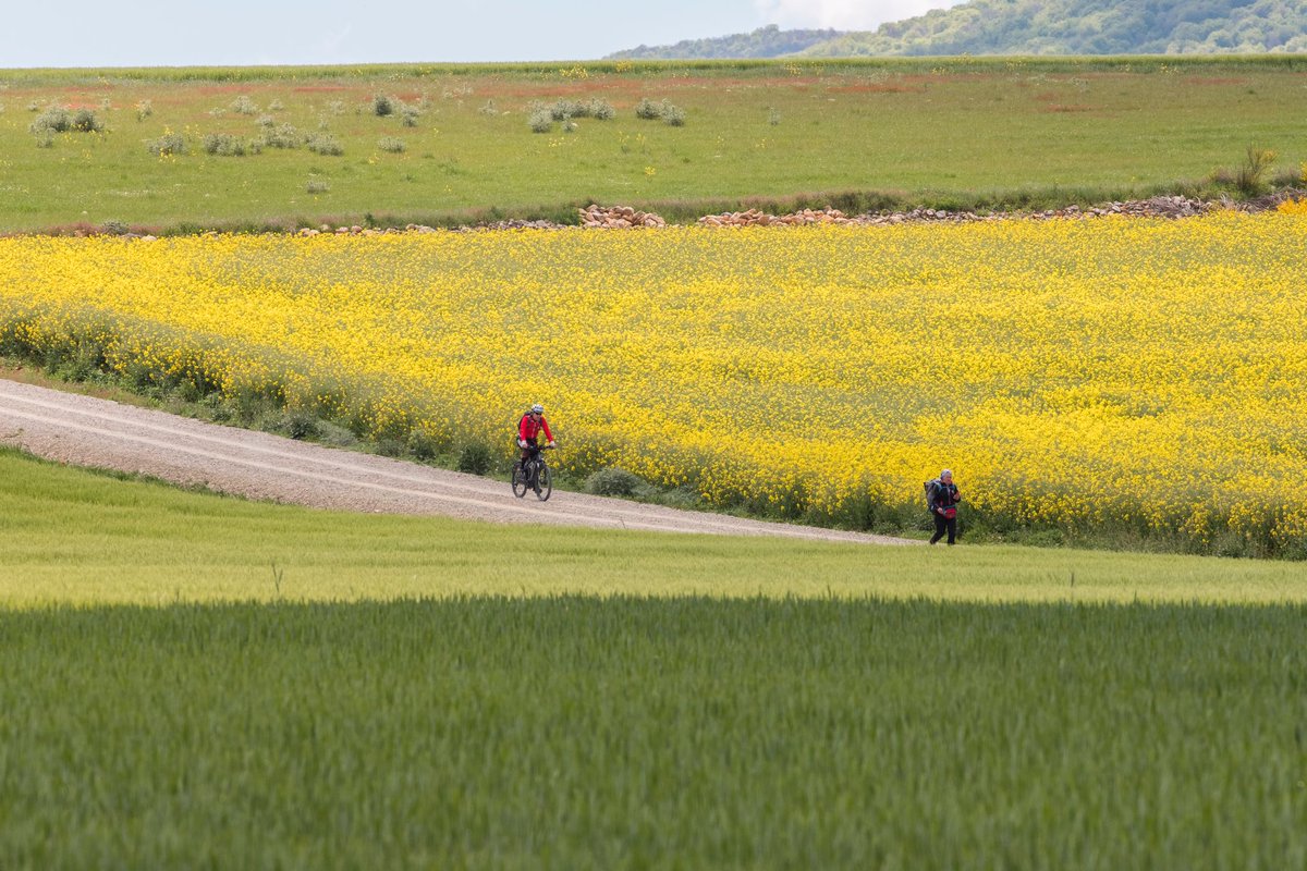 La Rioja ❤️🤍💚💛 es un continente por descubrir y recorrer ¿a qué esperas para venir? #ReservaLaRioja y crea inolvidables recuerdos en tu viaje por nuestra tierra