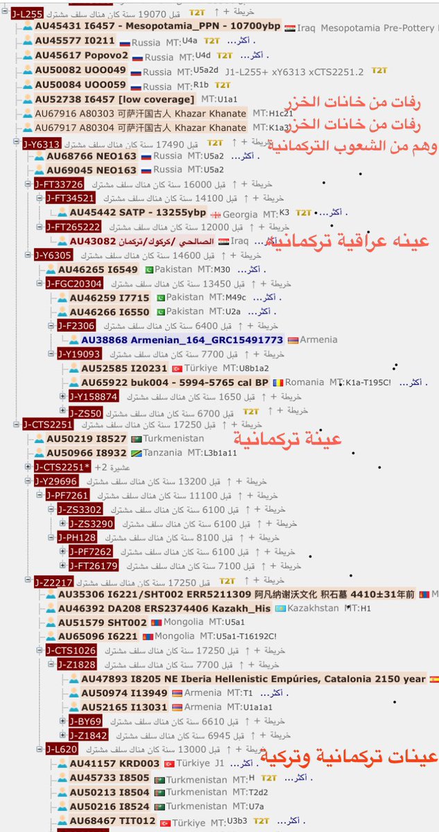 pool787's tweet photo. السلالة E: سقف عربي يماني ❤️🤝🏻

السلالة j1: سقف تركماني خزري جورجي قوقازي 🤷🏻‍♂️

ويجيك أبو رأس مربع يقول هو الأصل هههه

دارس جينات ليلي https://t.co/04ZPxzFDwT