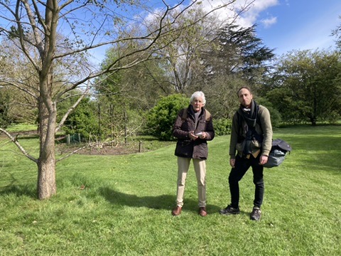 very useful morning discussing elms at Kew with David Shreeve and Sam Ford, in preparation for a forthcoming book on elm from Kew Publishing