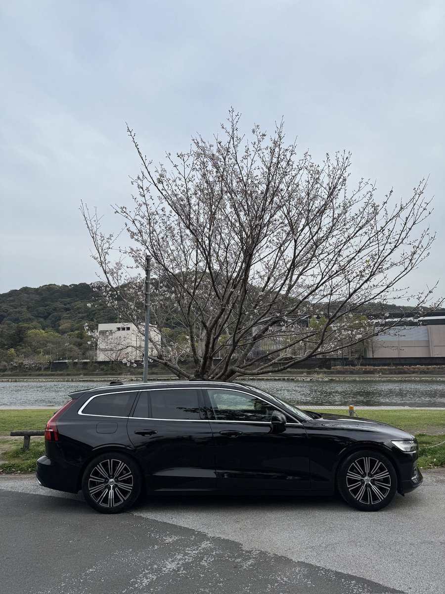 dyc088's tweet photo. 一軍たち https://t.co/SMSyr3Y8qg