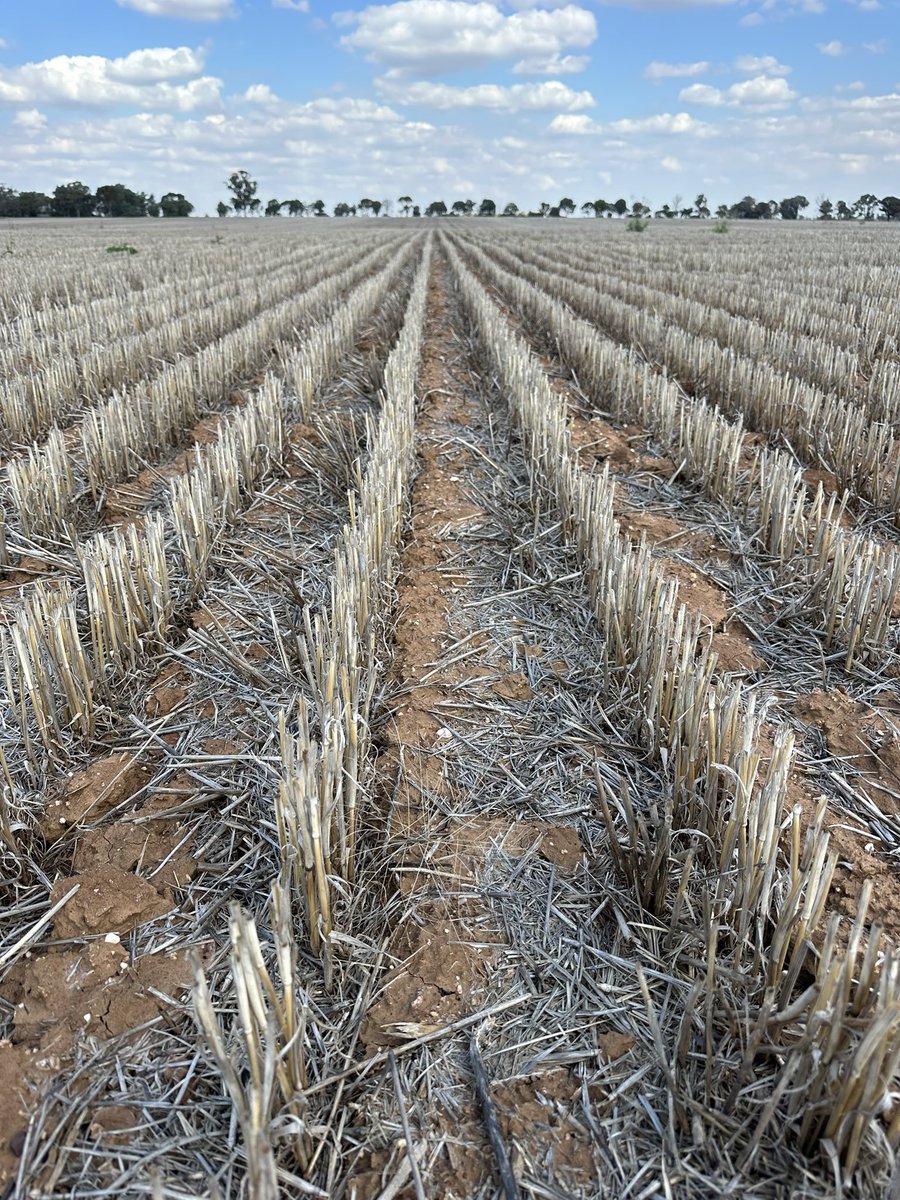 Grassroots Agronomy tweet media