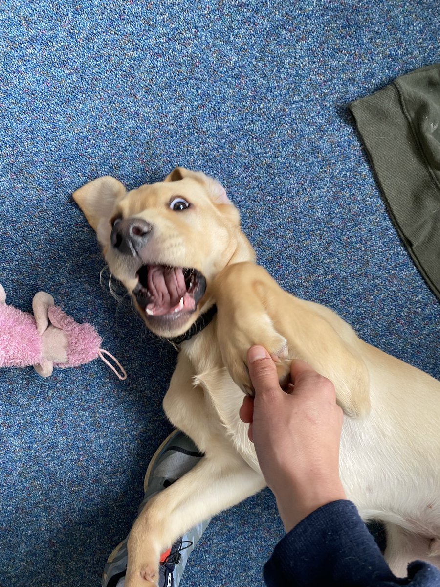 Tilly tweet media