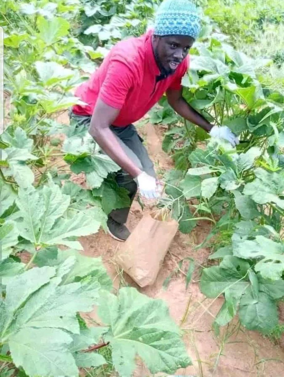 AFDC-A Officielle tweet media