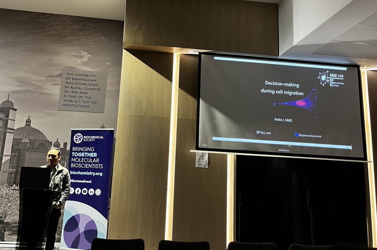 BSCB (@official_bscb) on Twitter photo Wrapping up the final session of the conference is Pablo Sáez (<a href="/pj_saez/">Pablo J. Sáez / now posts in a better place (BSky)</a>) talking about decision making during cell migration
<a href="/BiochemSoc/">Biochemical Society</a> #biochemevent Wrapping up the final session of the conference is Pablo Sáez (<a href="/pj_saez/">Pablo J. Sáez / now posts in a better place (BSky)</a>) talking about decision making during cell migration
<a href="/BiochemSoc/">Biochemical Society</a> #biochemevent