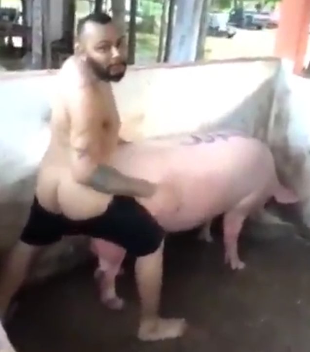 inter_e_Cia's tweet image. Wesley marca e acaba com o porco ontem a noite em Barueri . 🤫🤣🤣🤣
@SCInternacional @InterDD @InterDaZoeira @Brasileirao