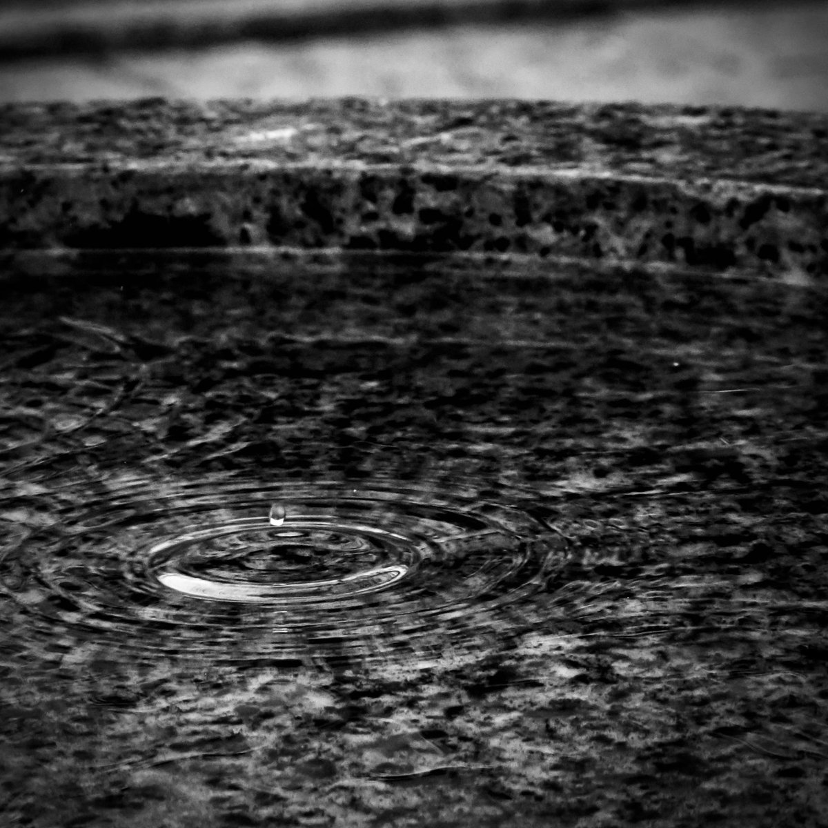 雨　一粒の波紋

#写真好きな人と繋がりたい 
#photo #photography 
#キリトリセカイ 
#bnw #bnwphotography