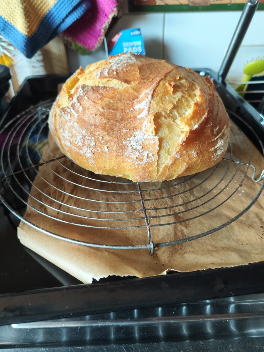 +++ Off Topic +++

Ich habe tatsächlich so neben X und PS5 ein paar kleinere Hobbys, zum Beispiel backe ich gerne mein Brot selber. 😋 Aber mit Sauerteig und nicht mit Hefe. Hier mal das Ergebnis von heute morgen. Ich finde, kann man akzeptieren 😁😁