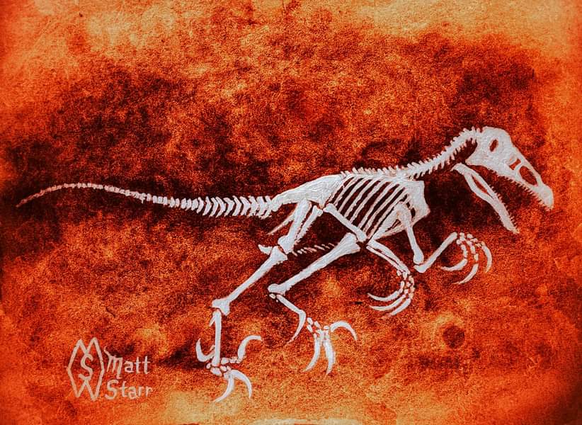 MattStarrFineA1's tweet image. April 18th is National Velociraptor Awareness Day. This is my mixed media painting of the skeleton of a velociraptor dinosaur. redbubble.com/shop/ap/158082…
#mattstarrfineart #velociraptor #velociraptors #dinosaur #dinosaurs #reptile #animal #wildlife #bones #skeleton #fossil