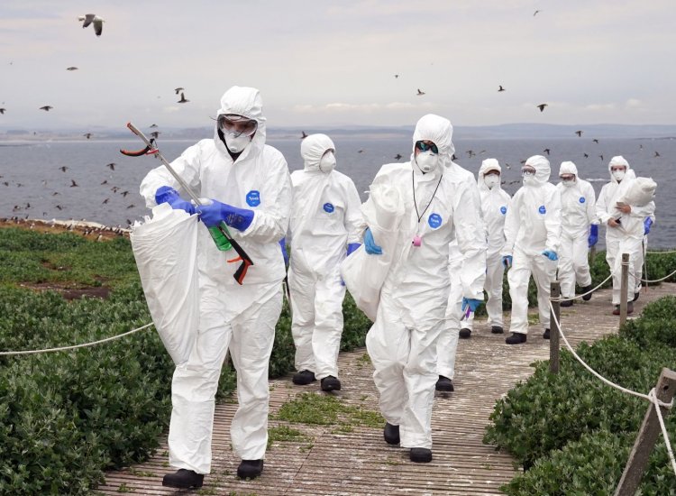 ⚠️ BREAKING: 

World Health Organization (WHO) sounds alarm over human cases of bird flu, says ‘looking for new hosts’

The World Health Organization said that A (H5N1) strain has become 'a global zoonotic animal pandemic'.