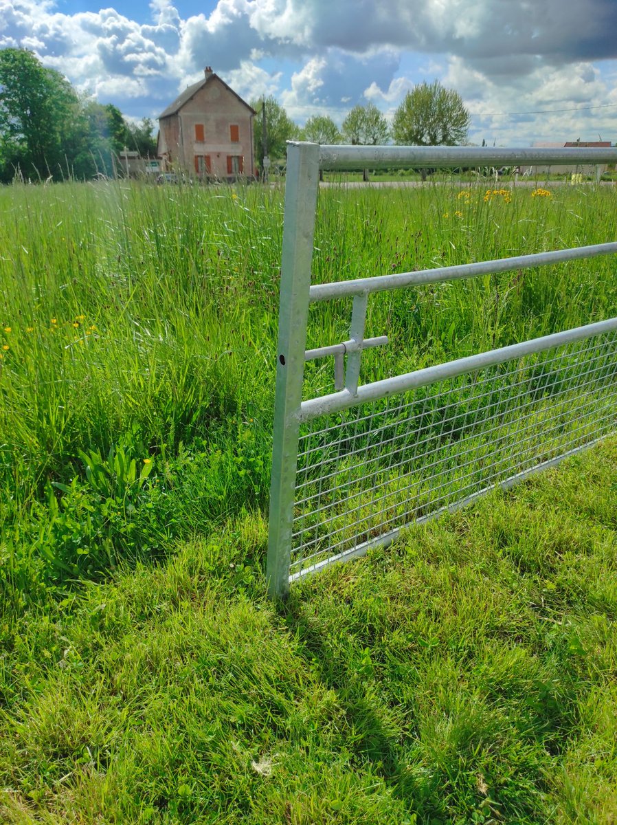 c2ip's tweet photo. De nouveaux bureaux pour nos futurs arrivants 😉
#ecoresponsable https://t.co/8BXwYxrMd6