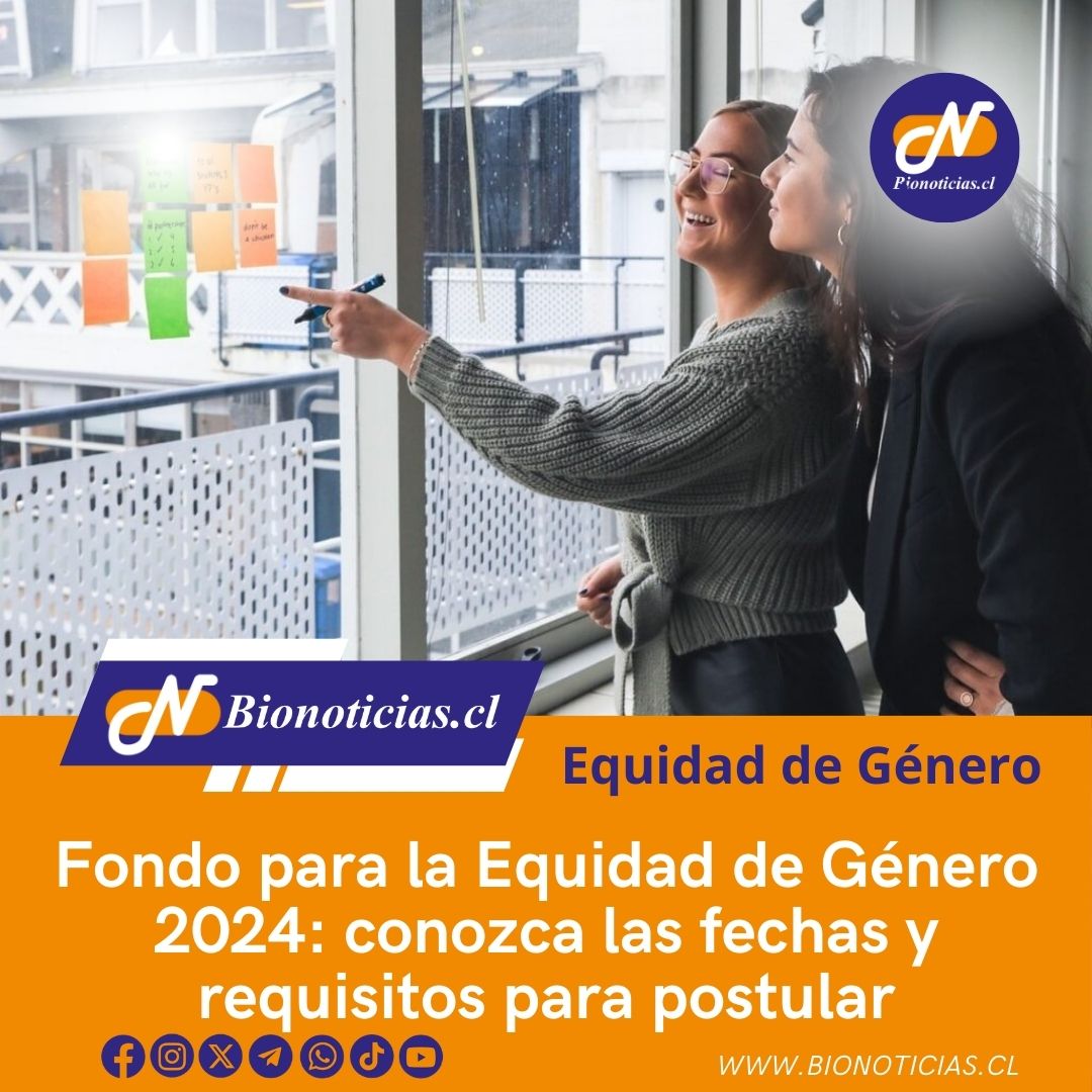 Fondo para la Equidad de Género 2024: conozca las fechas y requisitos para postular 
bionoticias.cl/fondo-para-la-… a través de @Bionoticiascl 
#EquidadDeGénero #Fondo2024 #EmpoderamientoFemenino #Inclusión #OportunidadesIgualitarias