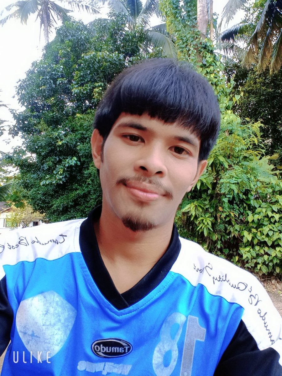 ป๋าบัส_ยันรุ่งสุราษฎร์ tweet media