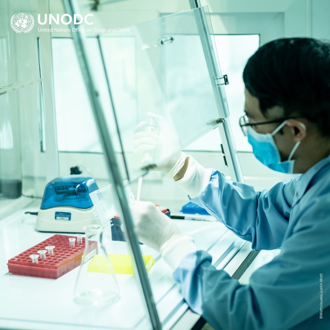 Nearly every country is involved in illicit wildlife trade.

DNA profiling helps trace illicit wildlife, forest, and fisheries products. Criminal networks must be brought down through targeted forensic casework.

More ℹ️ bit.ly/3IfzgHi

#EndWildlifeCrime