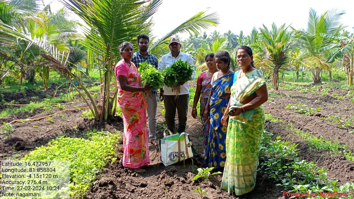 'కస్టమర్ లు పొలం వద్దకే వచ్చి కొనుగోలు చేస్తున్నారు.@APZBNF లో పండించిన కూరగాయలు రుచికరంగా ఉంటున్నాయని వారు చెప్తున్నారు.' -నాగమణి . అర ఎకరా వరి గట్టు మీద 4 రకాల అంతర పంటలు , 20 సెంట్ల లో 18 రకాల కూరగాయలు పండించి ఏడాదికి 1.20 లక్షల ఆదాయం పొందుతున్నారు ఈ కోనసీమ రైతు.@vijaythallam