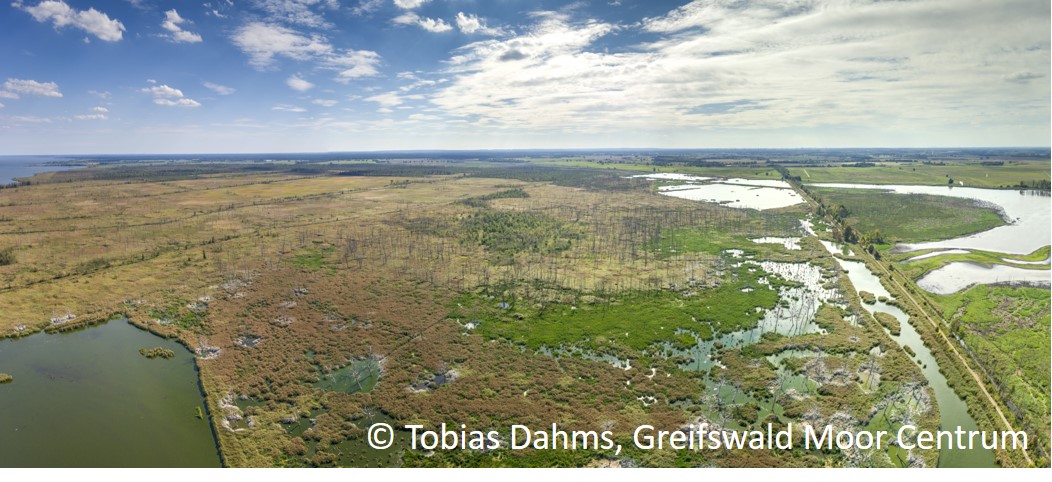 [Factsheet 6: Rewetting of drained peatlands]
In Germany, over 1 million ha of peatland are drained. Rewetting them can reduce or stop net C loss and lead to C sequestration in the litter layer and peat. Have a look:
datalab.dbfz.de/bionet/PC1?lan…
#CDR #peatland #climate #climatechange