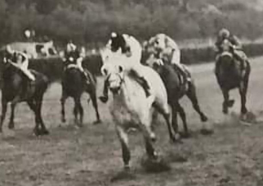 HORSERACING1002's tweet image. PUPPET STATE 🇺🇸 1962 (DEDICATE - STRINGS BY FIRST FIDDLE)#PuppetState