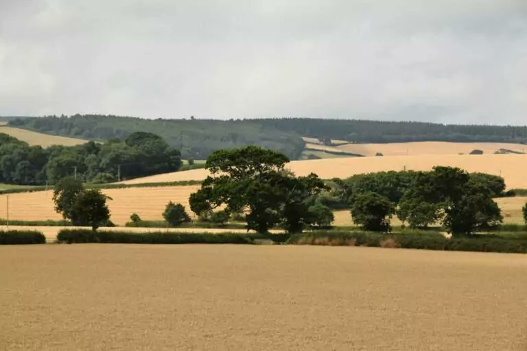 New paper by @SaraMehryar and @DrCHowarth analyses UK’s response to the summer 2022 heatwaves - using a combination of Forensic Disaster Analysis and Fuzzy Cognitive Mapping lse.ac.uk/granthaminstit…